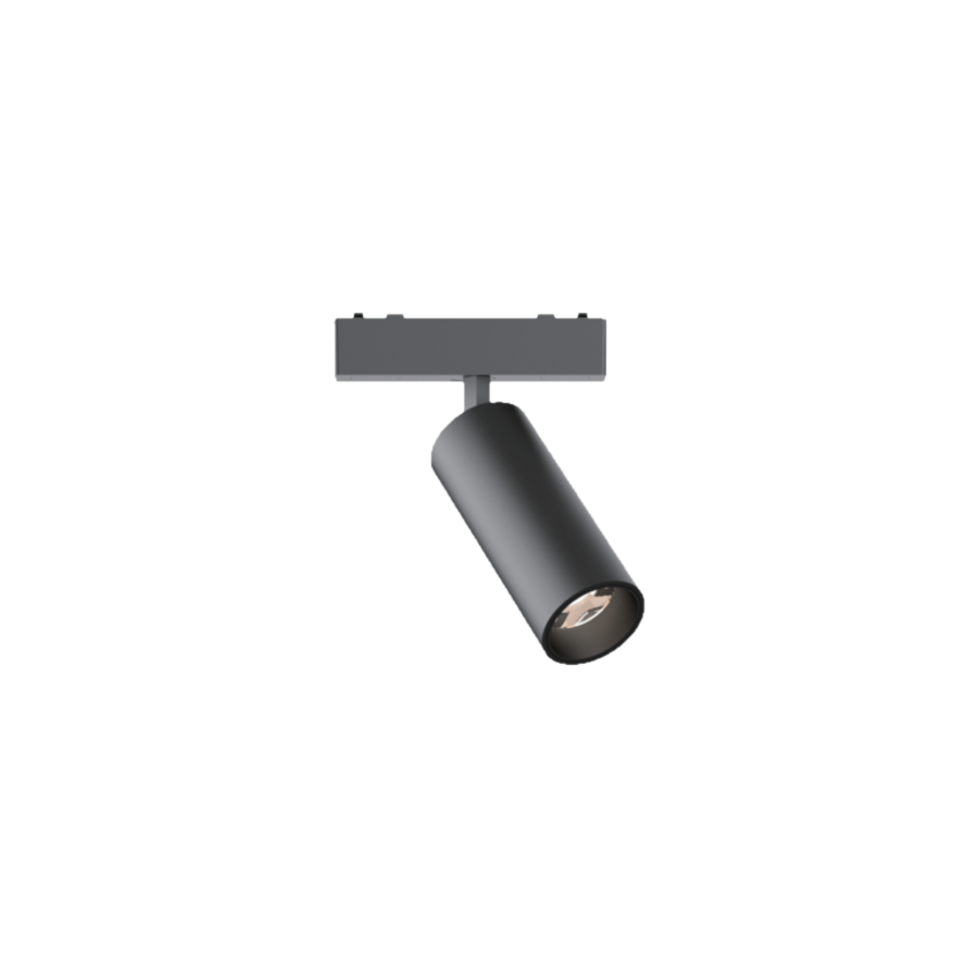 Spotlight module
