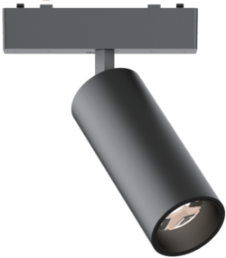 Spotlight module